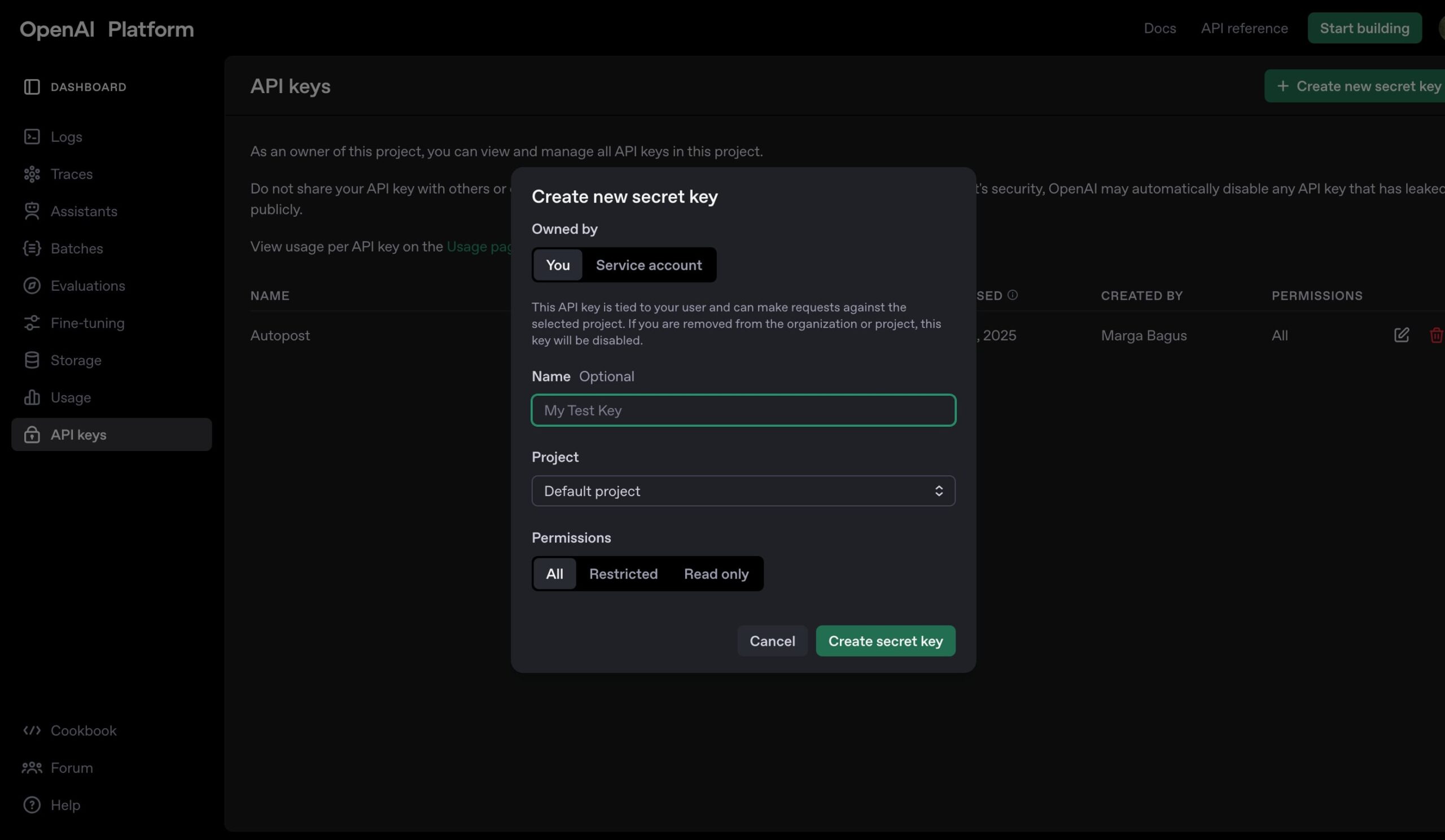 Connecting ChatGPT to the Meta API